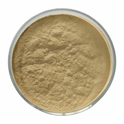 Disperant SP-WG22